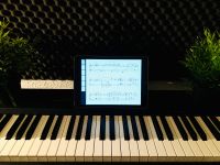 Moderner und kreativer Klavierunterricht bei Ihnen zu Hause (OL) Niedersachsen - Oldenburg Vorschau