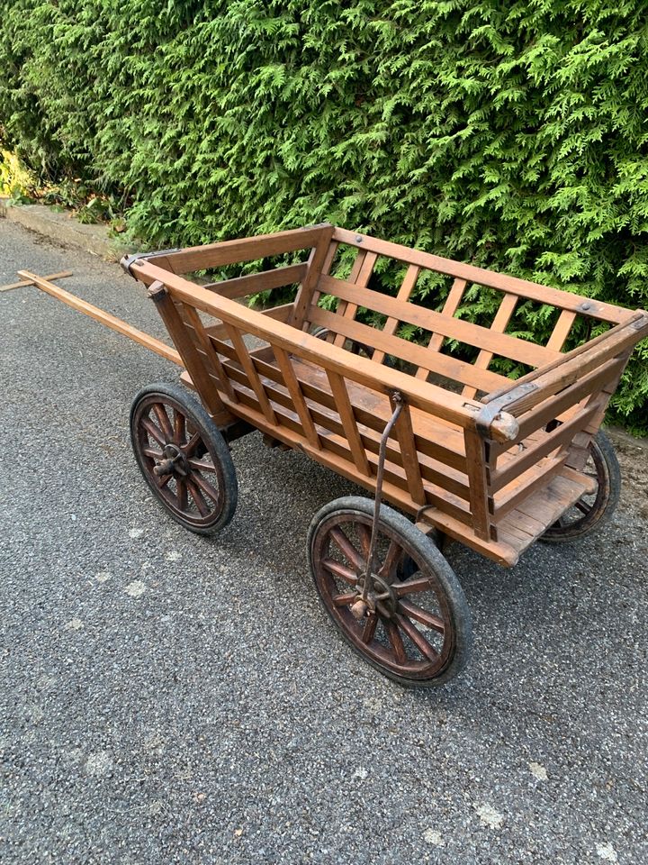 Bollerwagen Handwagen Piratenschiff f. Kindergeburtstag in Bad Neustadt a.d. Saale