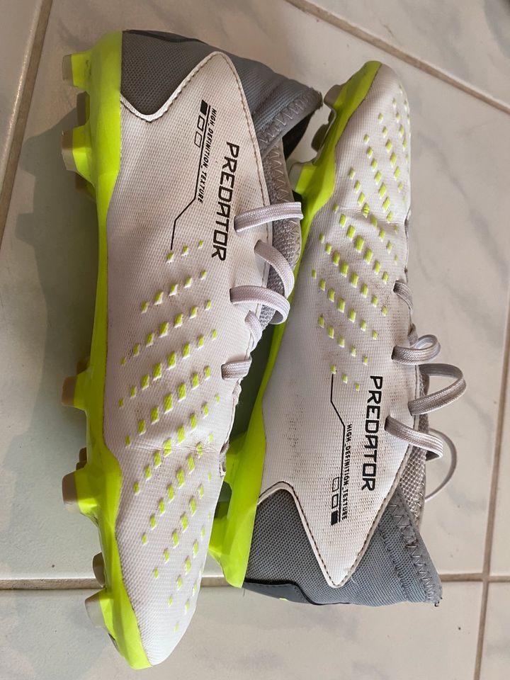 Adidas Predator 37 1/3 in Schkeuditz