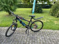 Mountainbike jugendliche Rheinland-Pfalz - Üdersdorf Vorschau