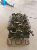 BMW e38 motor 3,5l m62b35 7er e39 v8 Brandenburg - Wriezen Vorschau