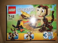 Lego Creator 31019 Urwald Tiere Affe Tukan Bär Teddybär braun Nordrhein-Westfalen - Metelen Vorschau