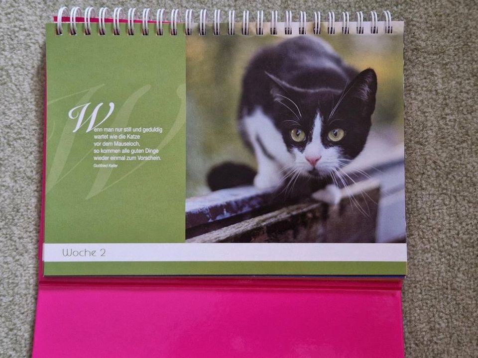 Tisch- Wochenkalender Katzen jedes Jahr in Jena