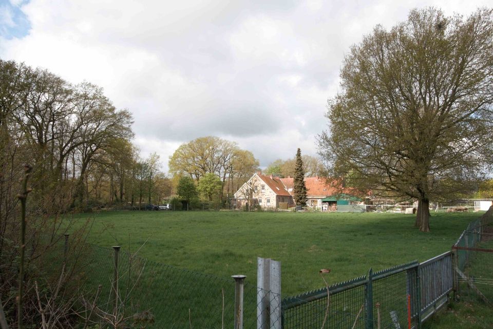 Ein Landhaus Anwesen mit Stallungen und sechs Mietwohnungen am Naturschutzgebiet in Hopsten