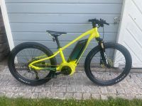 E-Bike Scott Roxter eRide 24 Zoll für Kinder Rheinland-Pfalz - Kaiserslautern Vorschau