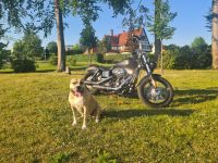 Harley Davidson Dyna Street Bob FXDB 103 Niedersachsen - Osnabrück Vorschau