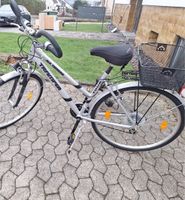 Im Auftrag zwei Damenräder abzugeben 26& 28 Zoll Rheinland-Pfalz - Neuwied Vorschau
