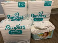 Pampers premium protection Niedersachsen - Bad Harzburg Vorschau