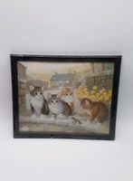 Katzenbild Bild Dekoration Wandbild Katzen Katze Bayern - Scheuring Vorschau