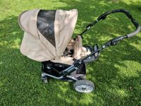 Kinderwagen Kinderbuggy Teutonia Mistral S11 Bielefeld - Schildesche Vorschau