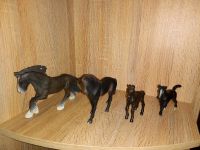 Schleich Pferde,  schwarz , schwarze Fohlen Kreis Ostholstein - Heiligenhafen  Vorschau