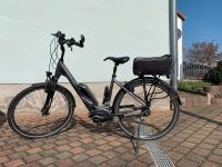 Kreidler E-Bike Herren Sachsen - Borna Vorschau