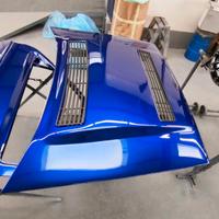 Golf 2 CFK Delta Integrale Motorhaube MIT Gitter NEU Schleswig-Holstein - Norderstedt Vorschau