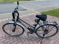 Damen Trekkingrad Bicycles Rahmengröße L 53-56cm Hessen - Immenhausen Vorschau