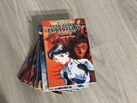 Mangas Neon Genesis Evangelion, Vampire Miyu,Record of Lodoss War Frankfurt am Main - Fechenheim Vorschau