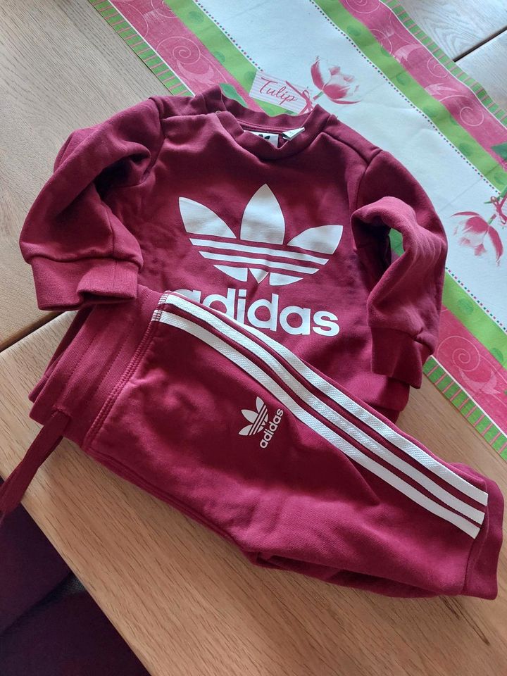 Jogginganzug von adidas in Delmenhorst