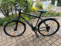 Herrenfahrrad,neuwertig,28 Zoll von Cicilista—Lucky Bike Sachsen - Mittelbach Vorschau