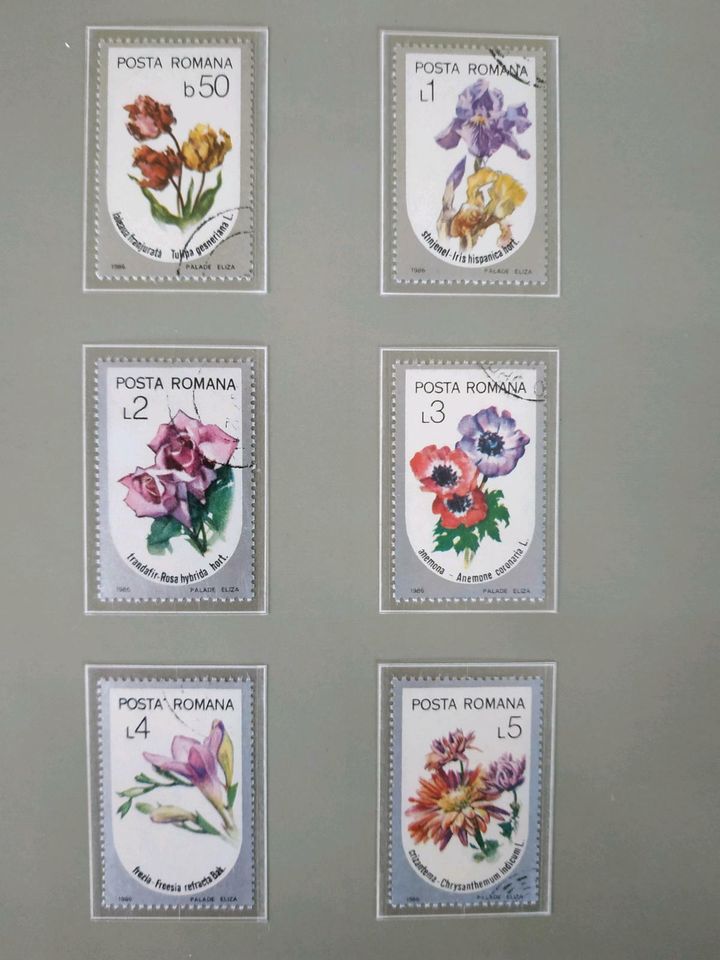 BRIEFMARKEN  - GARTENBLUMEN - RUMÄNIEN  1986  SELTEN in Sinzig