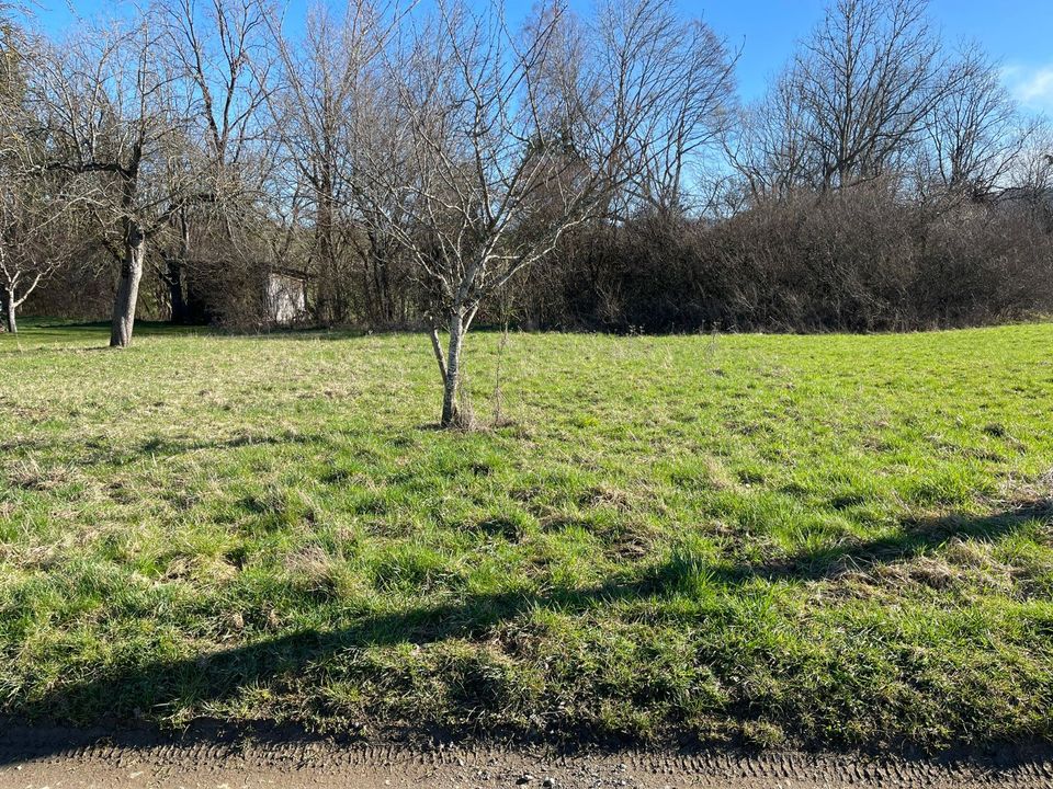 Tolles Grundstück / Wiese mit direktem Burgblick zu verkaufen in Hechingen