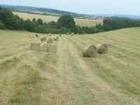 Heuballen/ Heu /Heurollen/ Pferde/ Kühe /Schafe Thüringen - Leinefelde Vorschau