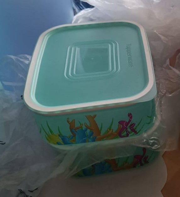 Tupperware, überwiegend neu + ovp, Abholung Eldagsen in Springe