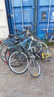 10 Fahrräder zu verkaufen Nordrhein-Westfalen - Espelkamp Vorschau