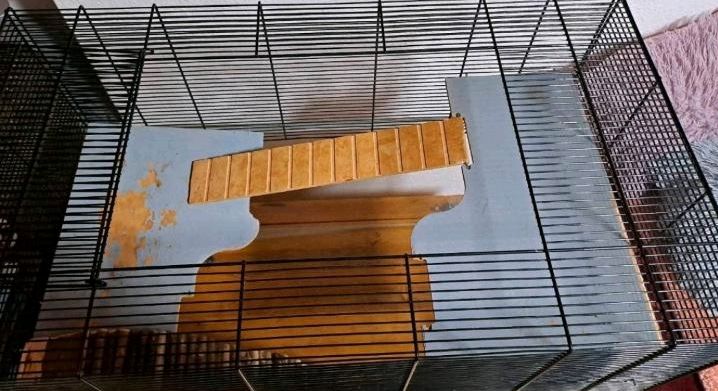 Nagarium für Hamster/Maus mit Zubehör in Drakenburg