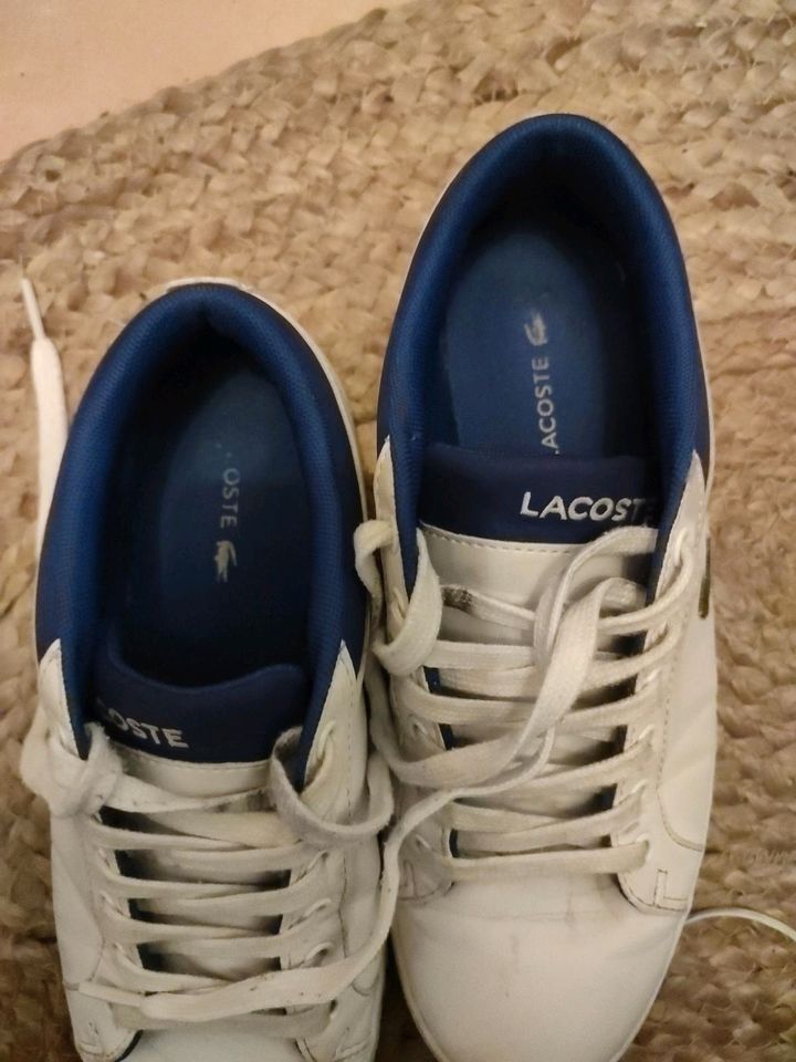 Lacoste Damen Sneaker weiß blau in Lünen