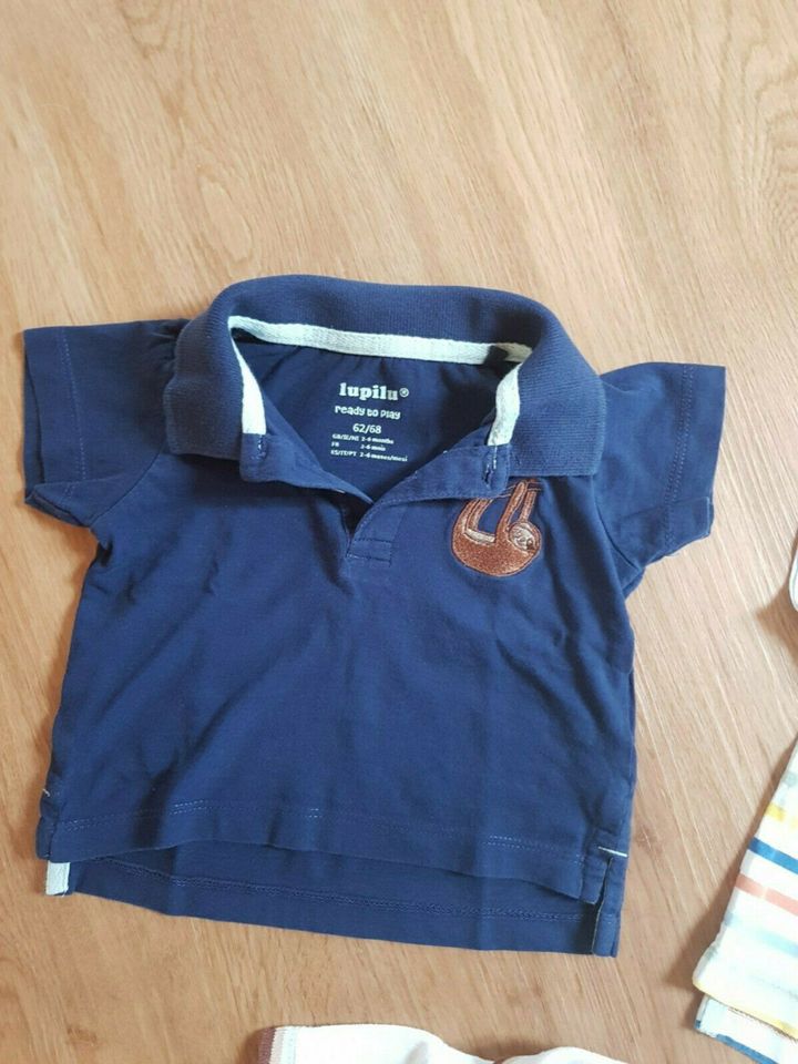 Poloshirt im Paket Gr.62/68 in Reutlingen