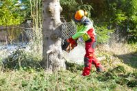 ❌ Baumfällung Baumfällen Bäume fällen Wurzelentfernung Rodung Thüringen - Suhl Vorschau