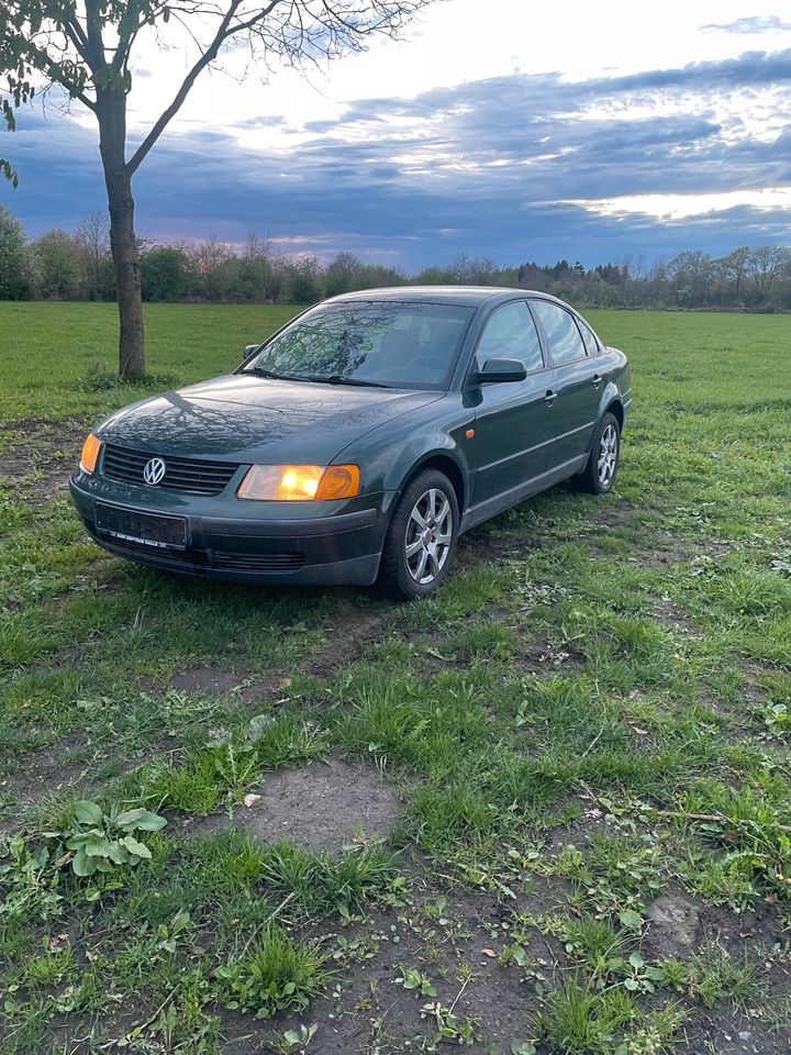 Passat b5 1.6 comfortline Rentnerfahrzeug 2.Hand in Hohn