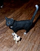 Schleich Katze + Kitten  Set 1. Nordrhein-Westfalen - Grefrath Vorschau