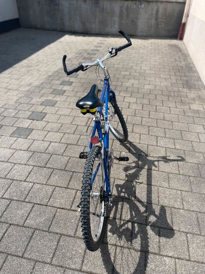 Damen Fahrrad // Marke: Focus in Schorndorf