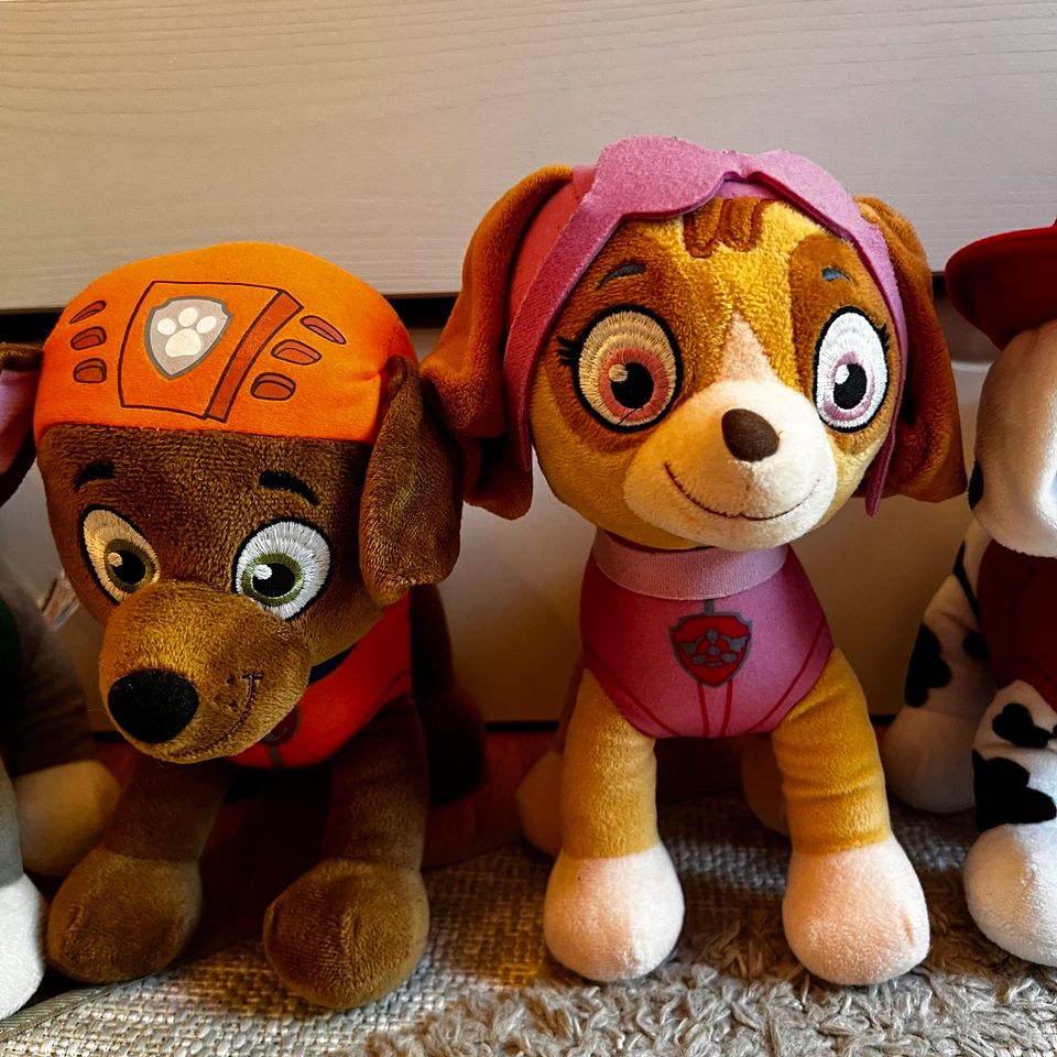 Paw Patrol 6 Hunde , 30cm Groß und Wie Neu !! in Augsburg