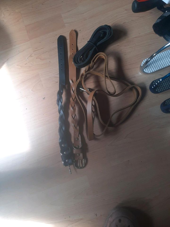 Hunde Set Leine/ Halsband Leder in Adenau
