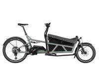 Riese und Müller Cargobike Load4 60 touring tundra grey matt Hessen - Trebur Vorschau