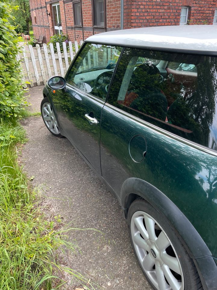 Mini Cooper R50, suche Auto in Herzebrock-Clarholz