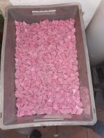 Ziersteine Zierkies dreieck-Form rosa Kiste 10€ Nordrhein-Westfalen - Brilon Vorschau