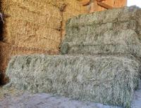 Biologisch Groß-Ballen Heu Ökologisch Einstreu Mulch Tierhaltung Bayern - Mammendorf Vorschau