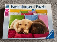 Ravensburger Puzzle Hundewelpen Sachsen-Anhalt - Oranienbaum-Wörlitz Vorschau