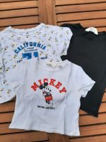 3 schöne T-Shirts Gr. 134/140 Niedersachsen - Seevetal Vorschau