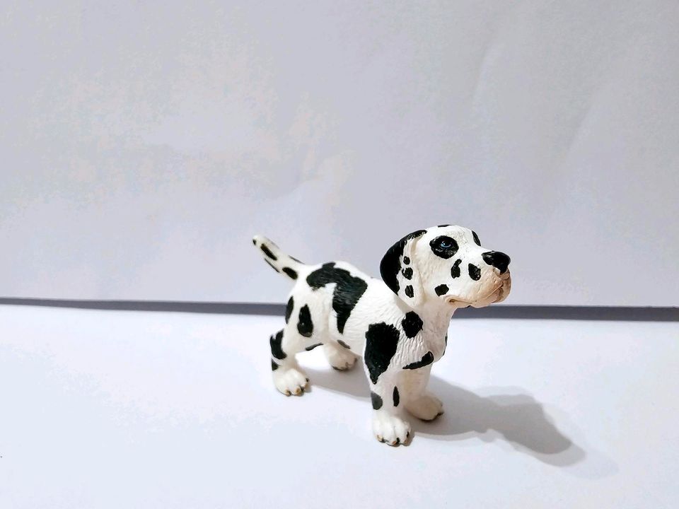 Welpe Deutsche Dogge Schleich Figur Neuwertig in Darmstadt