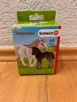 Schleich 42423 Dartmoor Ponystute und exklusives Dartmoor Fohlen Rheinland-Pfalz - Ransbach-Baumbach Vorschau