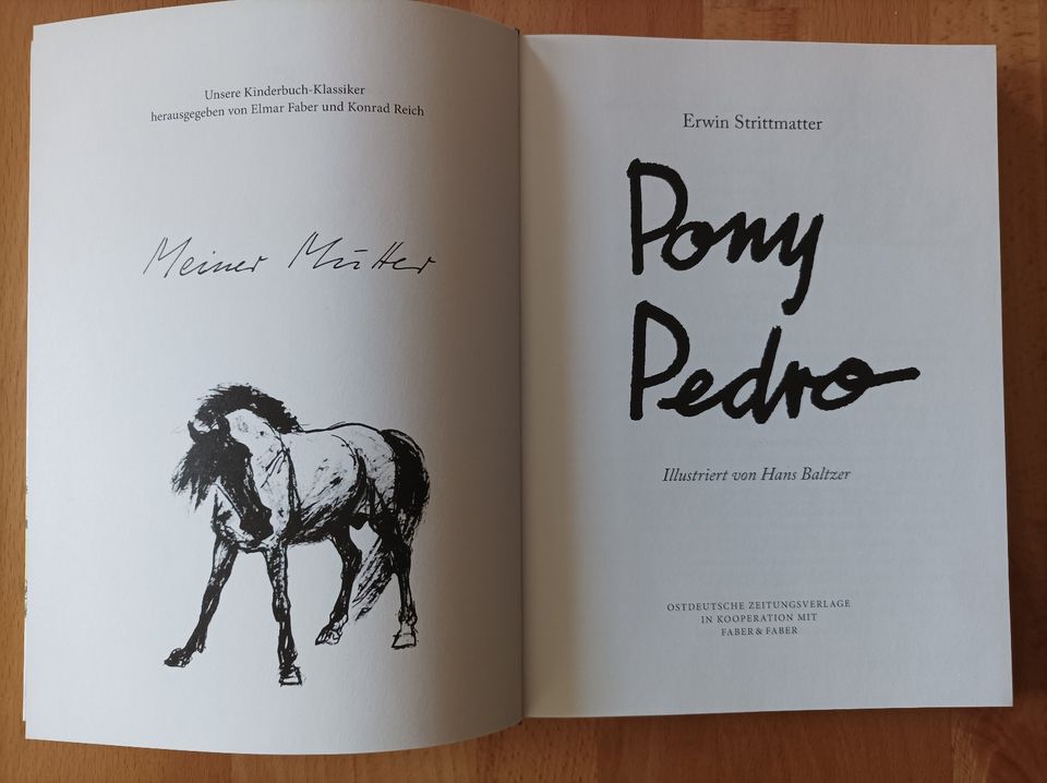 Kinderbuch Pony Pedro für 6,60 € inkl.Versand in Merseburg