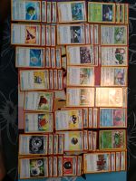 Fermicula Pokémon Deck-out Deck Berlin - Pankow Vorschau