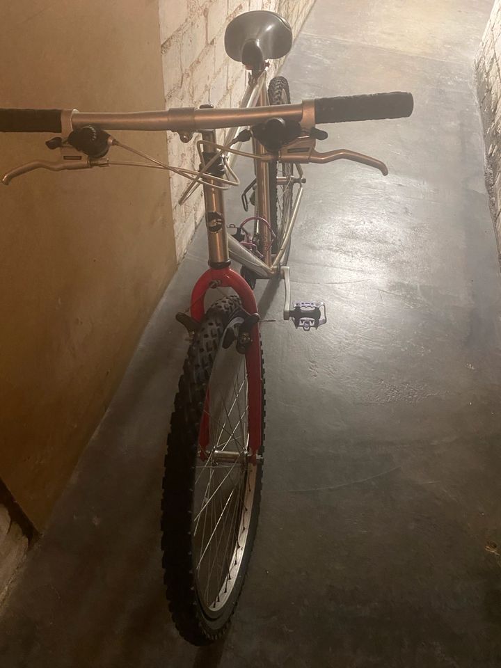 Mountainbike in Nürnberg (Mittelfr)