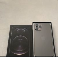 iPhone 12 Pro Max 256 GB Sachsen-Anhalt - Sangerhausen Vorschau