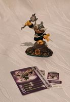 Skylanders Swap Force Enchanted Hoot Loop Nordrhein-Westfalen - Bad Wünnenberg Vorschau