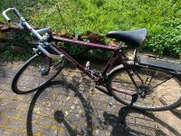 Retro Fahrrad Trek USA handmade Sachsen - Meißen Vorschau