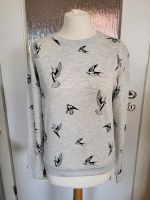 H&M Sweater Pullover grau Vögel Größe S Bayern - Pegnitz Vorschau